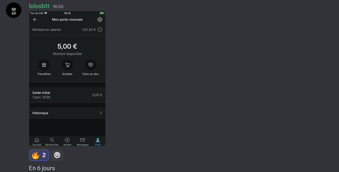 Exemple de résultat 531€